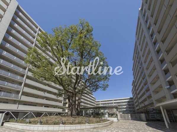 シティコート目黒2号棟の物件内観写真